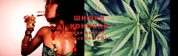 прущие крисы Богданович