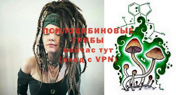 прущие крисы Богданович