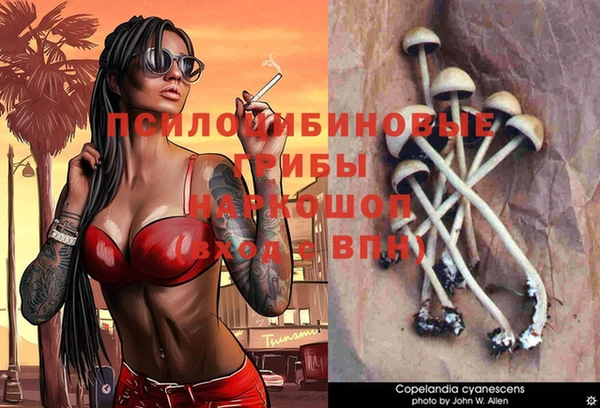 метамфетамин Богородицк
