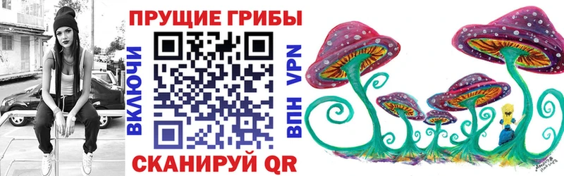 Купить где  Ялта  Псилоцибиновые грибы GOLDEN TEACHER 